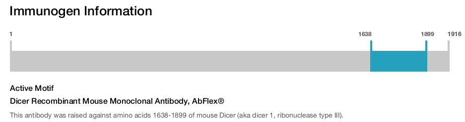 Dicer Recombinant Mouse Monoclonal Antibody, AbFlex&reg;
