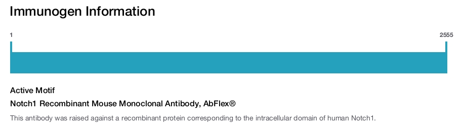 Notch1 Recombinant Mouse Monoclonal Antibody, AbFlex&reg;