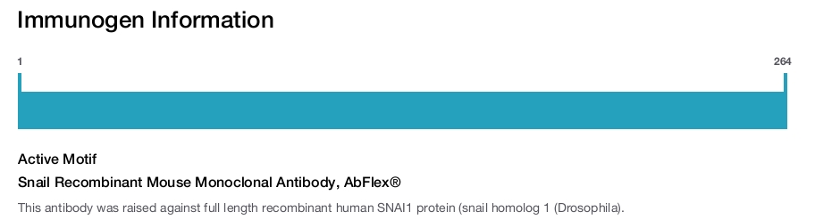 Snail Recombinant Mouse Monoclonal Antibody, AbFlex&reg;