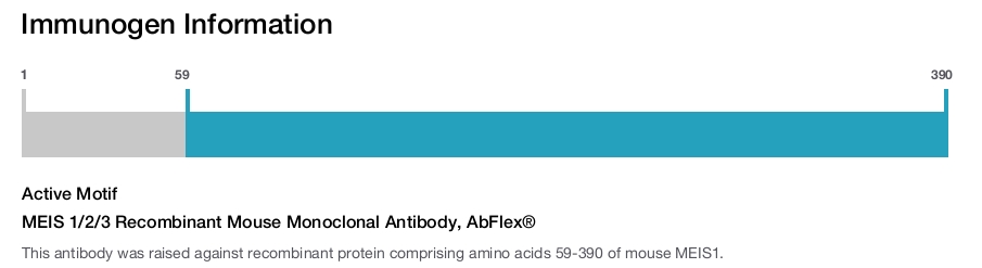 MEIS 1/2/3 Recombinant Mouse Monoclonal Antibody, AbFlex&reg;