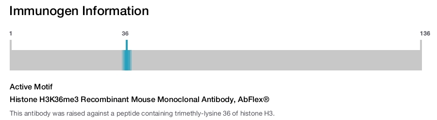 Histone H3K36me3 Recombinant Mouse Monoclonal Antibody, AbFlex&reg;