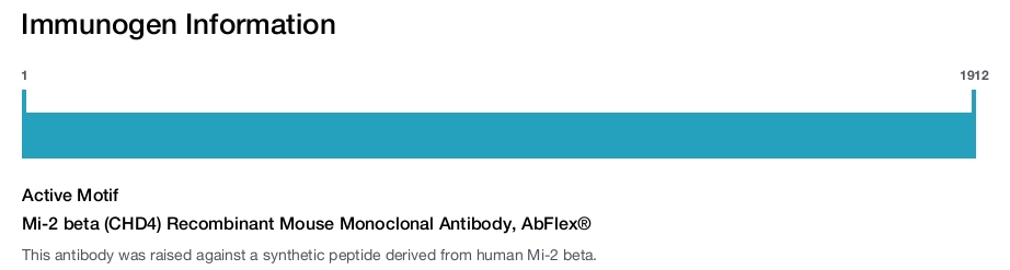 Mi-2 beta (CHD4) Recombinant Mouse Monoclonal Antibody, AbFlex&reg;