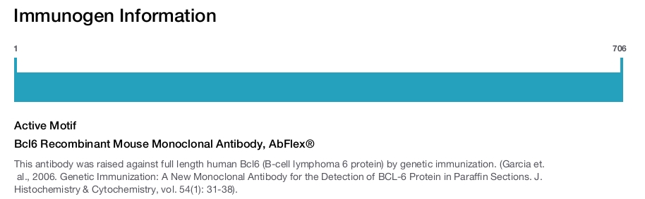 Bcl6 Recombinant Mouse Monoclonal Antibody, AbFlex&reg;