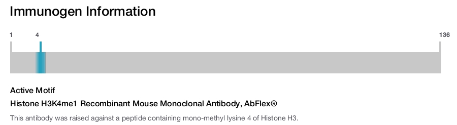 Histone H3K4me1 Recombinant Mouse Monoclonal Antibody, AbFlex&reg;