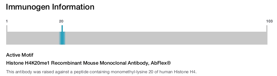 Histone H4K20me1 Recombinant Mouse Monoclonal Antibody, AbFlex&reg;