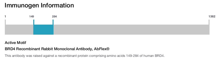 BRD4 Recombinant Rabbit Monoclonal Antibody, AbFlex&reg;