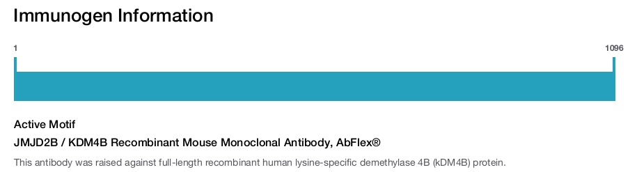 JMJD2B / KDM4B Recombinant Mouse Monoclonal Antibody, AbFlex®