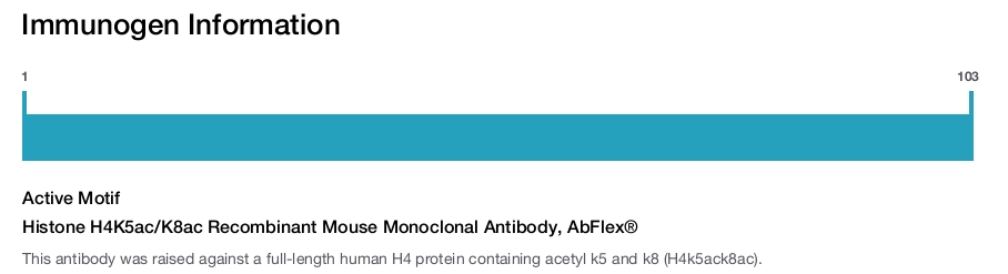 Histone H4K5ac/K8ac Recombinant Mouse Monoclonal Antibody, AbFlex&reg;
