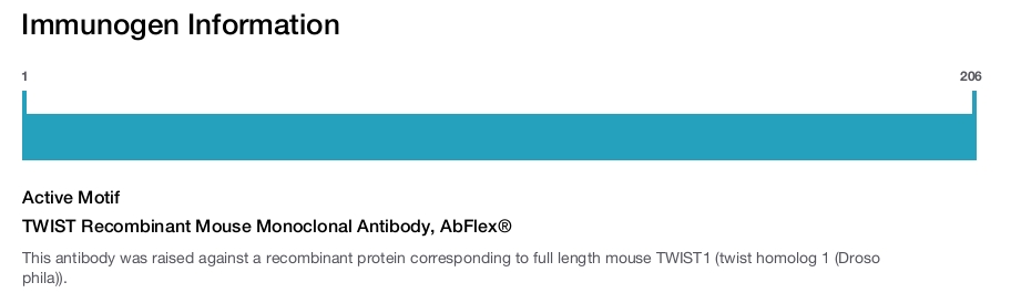 TWIST Recombinant Mouse Monoclonal Antibody, AbFlex&reg;