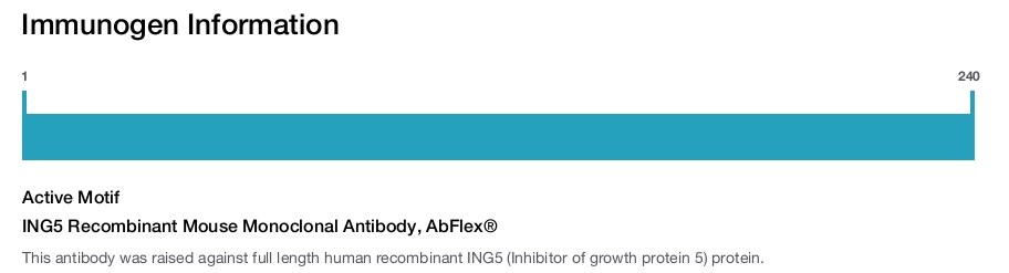 ING5 Recombinant Mouse Monoclonal Antibody, AbFlex&reg;