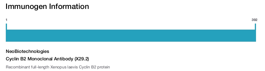Cyclin B2 Monoclonal Antibody (X29.2)