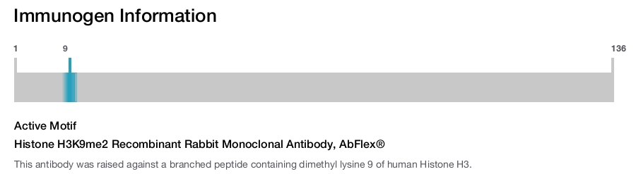 Histone H3K9me2 Recombinant Rabbit Monoclonal Antibody, AbFlex&reg;