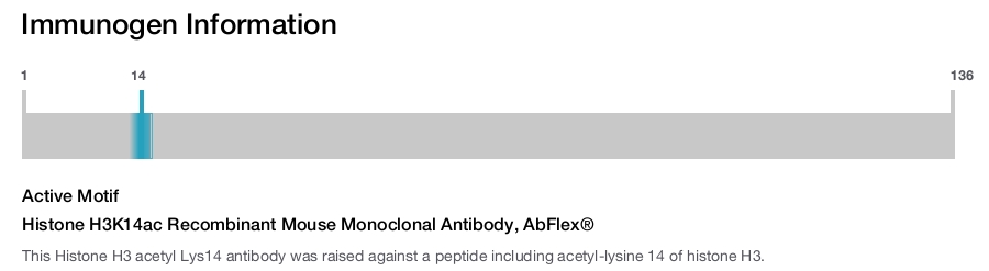 Histone H3K14ac Recombinant Mouse Monoclonal Antibody, AbFlex&reg;