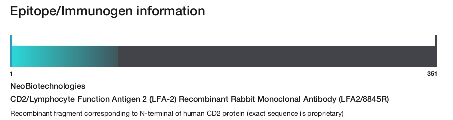CD2/Lymphocyte Function Antigen 2 (LFA-2) Recombinant Rabbit Monoclonal Antibody (LFA2/8845R)