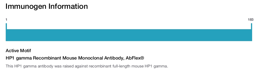 HP1 gamma Recombinant Mouse Monoclonal Antibody, AbFlex&reg;