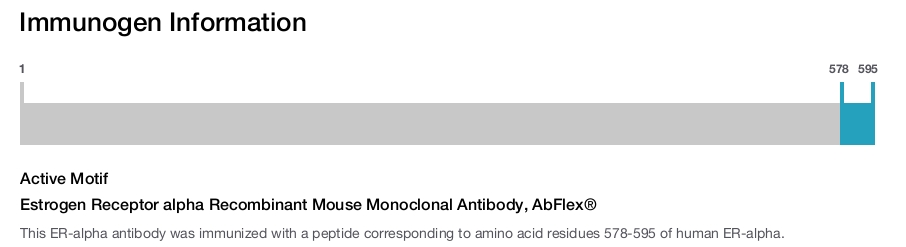 Estrogen Receptor alpha Recombinant Mouse Monoclonal Antibody, AbFlex&reg;