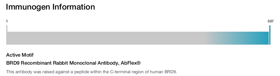 BRD9 Recombinant Rabbit Monoclonal Antibody, AbFlex&reg;