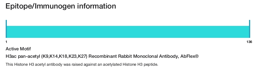 H3ac pan-acetyl (K9,K14,K18,K23,K27) Recombinant Rabbit Monoclonal Antibody, AbFlex&reg;