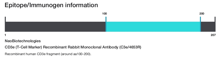CD3e (T-Cell Marker) Recombinant Rabbit Monoclonal Antibody (C3e/4653R)