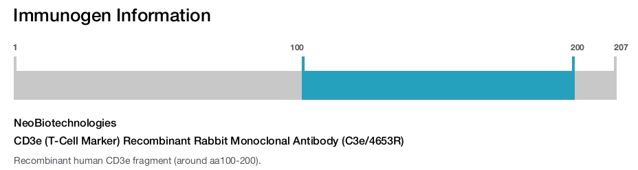 CD3e (T-Cell Marker) Recombinant Rabbit Monoclonal Antibody (C3e/4653R)