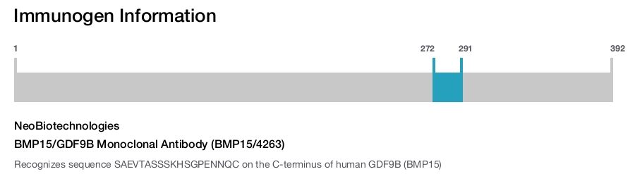 BMP15/GDF9B Monoclonal Antibody (BMP15/4263)