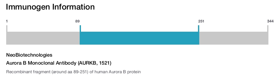 Aurora B Monoclonal Antibody (AURKB, 1521)