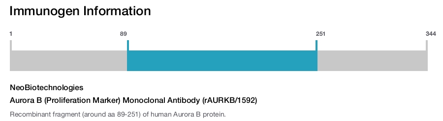Aurora B (Proliferation Marker) Monoclonal Antibody (rAURKB/1592)