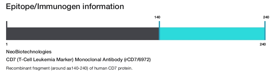 CD7 (T-Cell Leukemia Marker) Monoclonal Antibody (rCD7/6972)