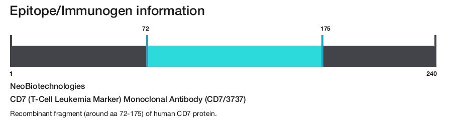 CD7 (T-Cell Leukemia Marker) Monoclonal Antibody (CD7/3737)