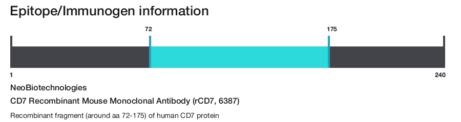 CD7 Recombinant Mouse Monoclonal Antibody (rCD7, 6387)