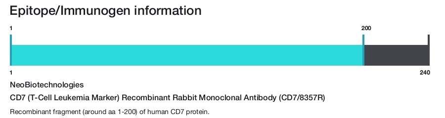 CD7 (T-Cell Leukemia Marker) Recombinant Rabbit Monoclonal Antibody (CD7/8357R)