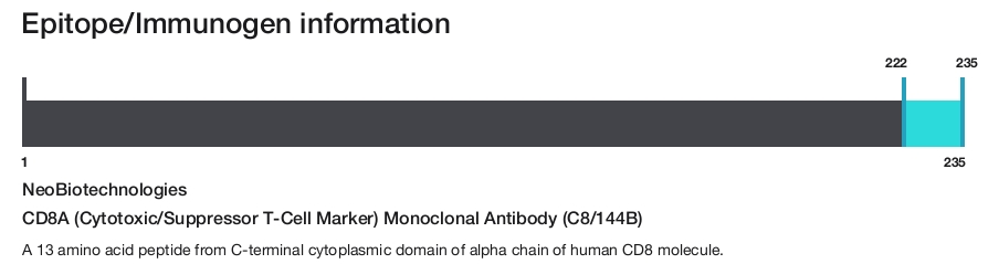 CD8A (Cytotoxic/Suppressor T-Cell Marker) Monoclonal Antibody (C8/144B)