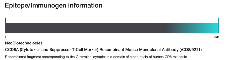 CCD8A (Cytotoxic- and Suppressor T-Cell Marker) Recombinant Mouse Monoclonal Antibody (rCD8/9211)