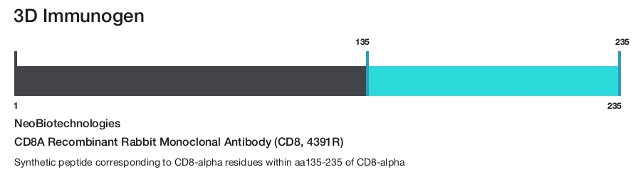 CD8A Recombinant Rabbit Monoclonal Antibody (CD8, 4391R)