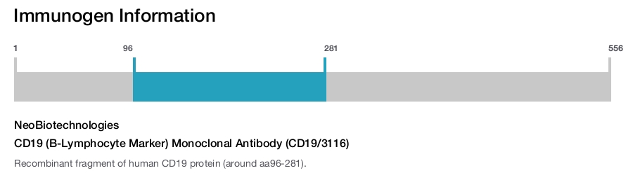 CD19 (B-Lymphocyte Marker) Monoclonal Antibody (CD19/3116)