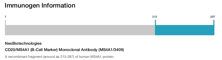 CD20/MS4A1 (B-Cell Marker) Monoclonal Antibody (MS4A1/3409)