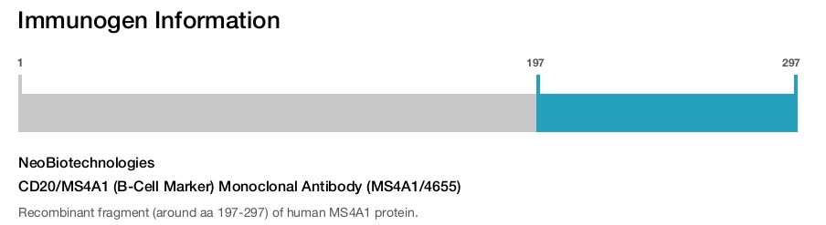 CD20/MS4A1 (B-Cell Marker) Monoclonal Antibody (MS4A1/4655)