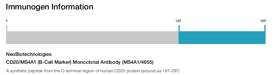 CD20/MS4A1 (B-Cell Marker) Monoclonal Antibody (MS4A1/4655)