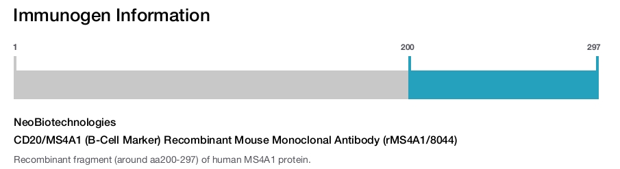 CD20/MS4A1 (B-Cell Marker) Recombinant Mouse Monoclonal Antibody (rMS4A1/8044)