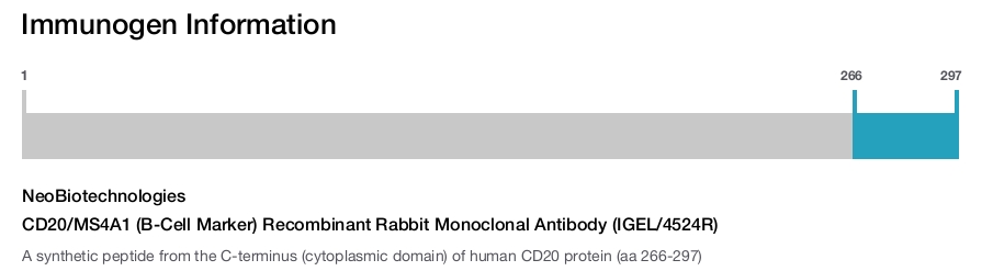 CD20/MS4A1 (B-Cell Marker) Recombinant Rabbit Monoclonal Antibody (IGEL/4524R)
