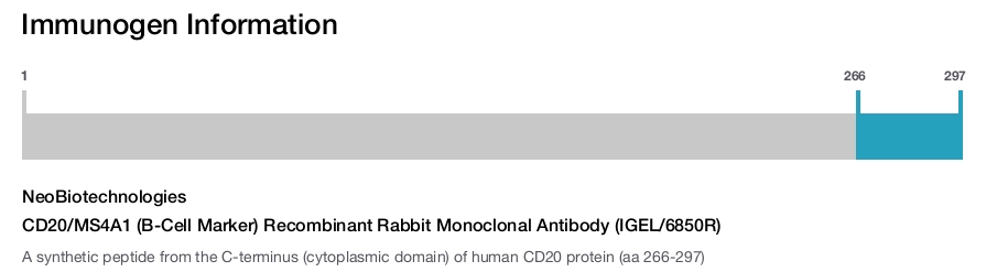 CD20/MS4A1 (B-Cell Marker) Recombinant Rabbit Monoclonal Antibody (IGEL/6850R)