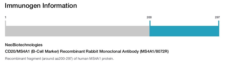 CD20/MS4A1 (B-Cell Marker) Recombinant Rabbit Monoclonal Antibody (MS4A1/8072R)