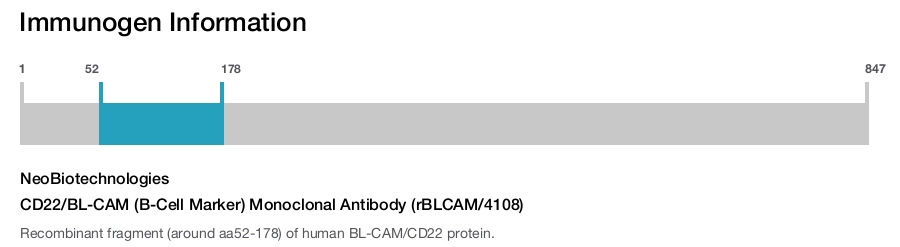CD22/BL-CAM (B-Cell Marker) Monoclonal Antibody (rBLCAM/4108)