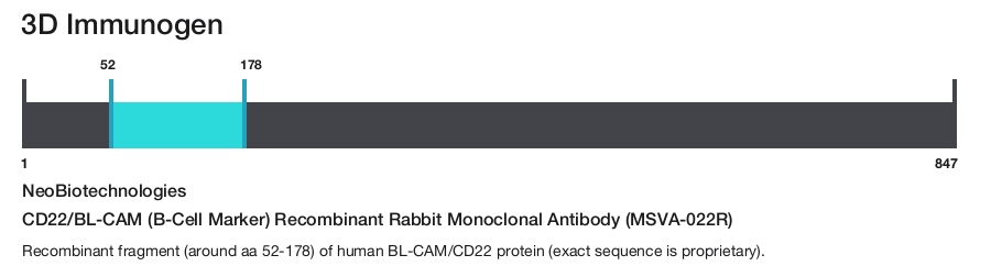 CD22/BL-CAM (B-Cell Marker) Recombinant Rabbit Monoclonal Antibody (MSVA-022R)