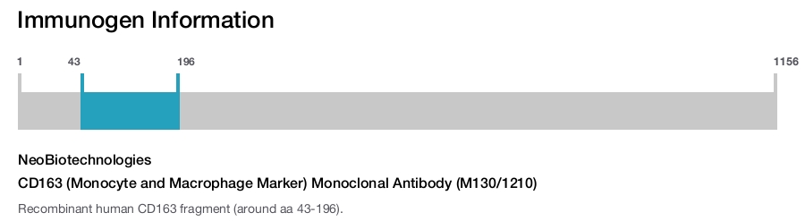 CD163 (Monocyte and Macrophage Marker) Monoclonal Antibody (M130/1210)