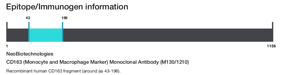 CD163 (Monocyte and Macrophage Marker) Monoclonal Antibody (M130/1210)