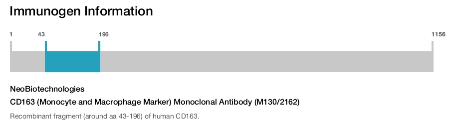 CD163 (Monocyte and Macrophage Marker) Monoclonal Antibody (M130/2162)