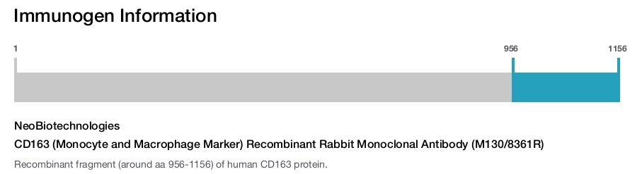 CD163 (Monocyte and Macrophage Marker) Recombinant Rabbit Monoclonal Antibody (M130/8361R)