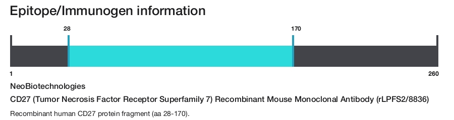 CD27 (Tumor Necrosis Factor Receptor Superfamily 7) Recombinant Mouse Monoclonal Antibody (rLPFS2/8836)