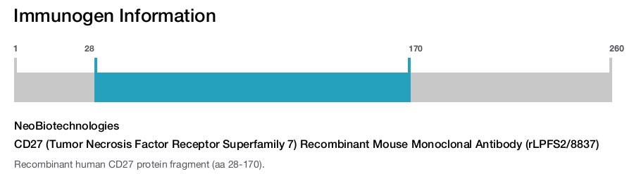 CD27 (Tumor Necrosis Factor Receptor Superfamily 7) Recombinant Mouse Monoclonal Antibody (rLPFS2/8837)